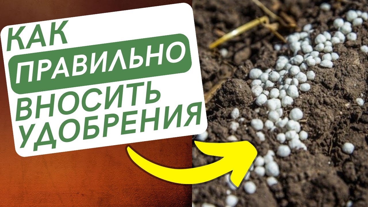 Как ПРАВИЛЬНО вносить ФОСФОРНЫЕ УДОБРЕНИЯ при посеве яровых и озимых культур с семенами в рядок.