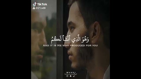 صوت رائع في تلاوة القرآن الكريم