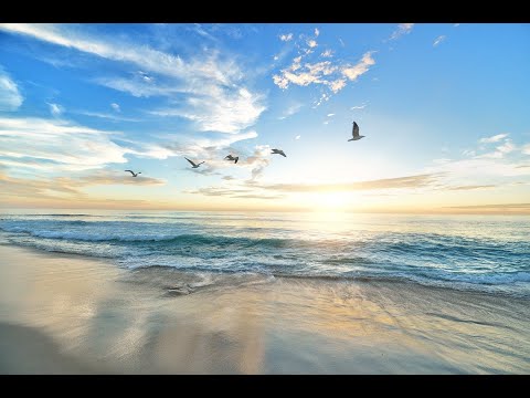 Meditation - Sacred