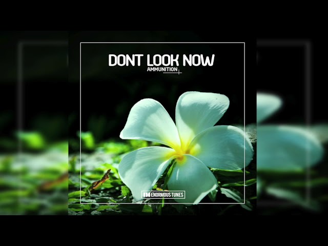 Dont Look Now - Ammunition