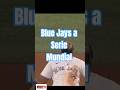 THE BLUE JAYS A LA SERIE MUNDIAL. #mlb #mlblb #beisbol