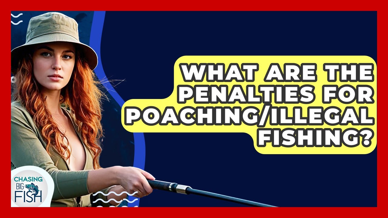 What Are The Penalties For Poaching/Illegal Fishing? - Chasing Big Fish