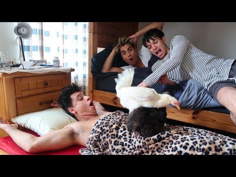 LUCAS AND MARCUS GOT US BACK!