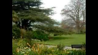 PAUL ANDERSON SCOT'S FIDDLE MISS STRATHBOGIE
