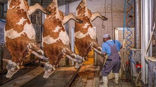 Inside modern mobile cow slaughterhouse - Amazing equipment in cow farming livestock technology