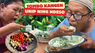 Download Lagu Wong Ndeso masak sayur ontong jantung pisang , hasil golek ning Kebon. MP3