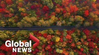 Drone footage captures spectacular fall foliage across US landscapes