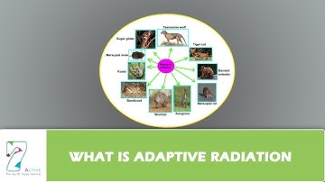 WHAT IS ADAPTIVE RADIATION