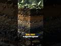Importance of soil test. #house #construction #keralahomes