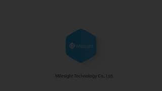 Milesight 4K Network Kamera (Yol)