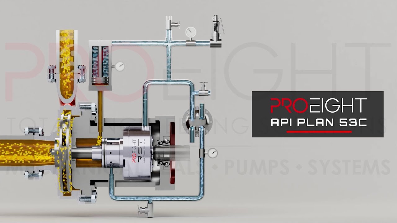 [API PIPING PLAN] Double Seals Plan 53C YouTube