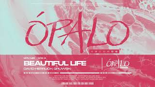 Download Lagu David Herrlich, Gruwski - Beautiful Life MP3