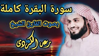 سورة البقرة كامله بصوت القارئ الشيخ رعد الكردى