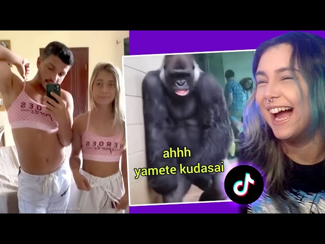 videos engraçados rir｜Pesquisa do TikTok