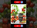 How to Grow Tomatoes for Beginners#gardening#farming#easyfarming#growingplants#vegetables#viralvideo