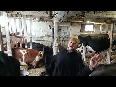 Барыня с выходом О помощниках - YouTube