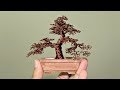 How to make Miniature Wire Tree.