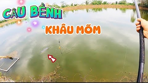 Câu lục. Đánh bềnh tự đóng, bắt hugo hồ câu Tân Mỹ băng thính Phủi 2. Chạm con thứ 4. Fishing