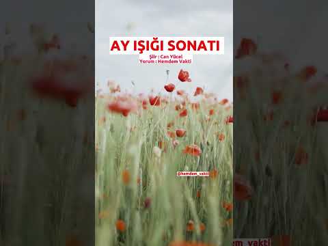 Ay Işığı Sonatı