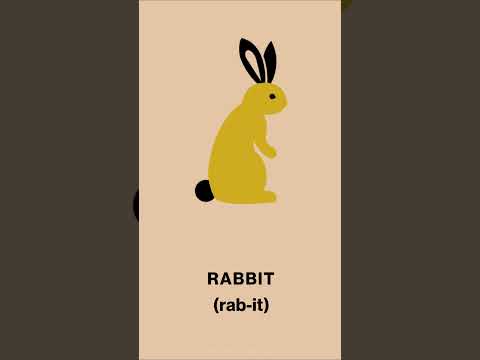 Pronounce Rabbit in English