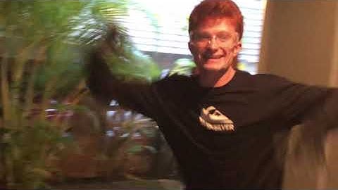 Spark Gap Tesla Coil First Light