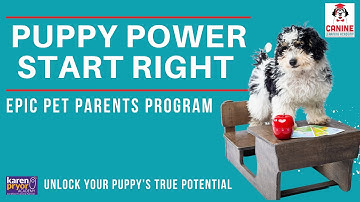 Canine Learning Academy introduction to a Puppy Power Start Right Program