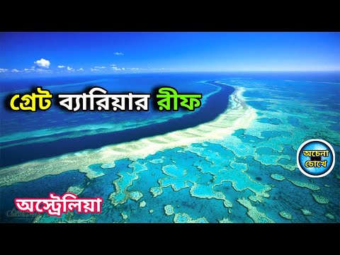 ভিডিও: কোরাল রিফ। গ্রেট কোরাল রিফ। প্রবাল প্রাচীরের পানির নিচের জগত