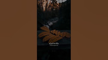 تلاوه هادئه للشيخ عبدالرحمن مسعد من سورة يونس ❤️🥰 #قرآن #القرآن #قران_كريم #اسلام #دعاء #اكسبلور