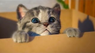 МОЙ Маленький КОТЕНОК Виртуальный питомец Как мультик видео для детей СИМУЛЯТОР котика Ми Ми Ми #ММ МОЙ Маленький КОТЕНОК Виртуальный питомец Как мультик видео для детей СИМУЛЯТОР котика Ми Ми Ми #ММ