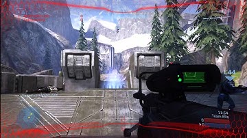 Predator Targeting Effect Test