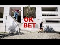 DC SHOES : OK BET