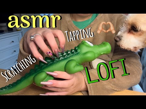 20 triggers in 20 minutes ~ LoFi ASMR 👌🏼Tapping and Scratching. Fast & Aggressive triggers! #asmr