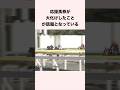 応援馬券が大化けしたことが話題となっている #shorts #競馬 #競馬予想 #ウマ娘