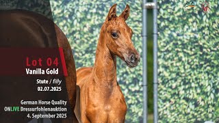 GERMAN HORSE QUALITY-DRESSURFOHLENAUKTION Lot 04 Vanilla Gold Stute v. Vitalis - Fürst Magic