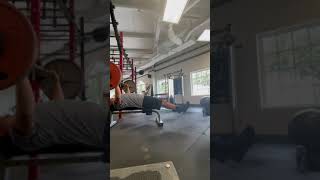 Celebrity Larsen press @235 Profile