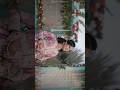 NEW Wedding REEL 2024 WEDDING \\ HALDI CEREMONY \\ RK Digital Studio