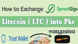 How to Exchange Litecoin ( LTC ) Dollar into Pkr | Convert LTC Dollar into Pkr SproutGigs withdrawal