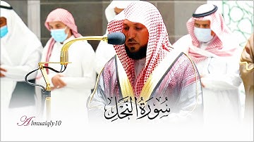 تلاوة تطمئن بها القلوب من الشيخ د. ماهر المعيقلي لما تيسّر من سورة النحل | عشاء الأربعاء ١٤-٣-١٤٤٣هـ