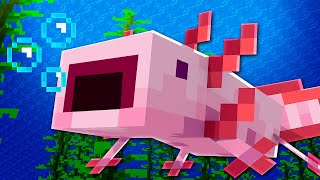 30 Coisas Que Você Não Sabia Sobre Os Axolotes No Minecraft