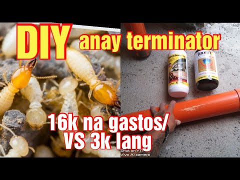 Video: Magkano ang halaga ng spray ng anay?