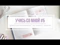 ЕЩЕ БОЛЬШЕ ИСПАНСКОГО | УЧИСЬ СО МНОЙ #5