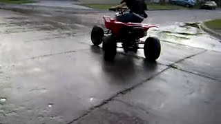 MOV00613