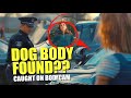 Cops STUNNED to Find a Dog's Body in Shoplifter's Car