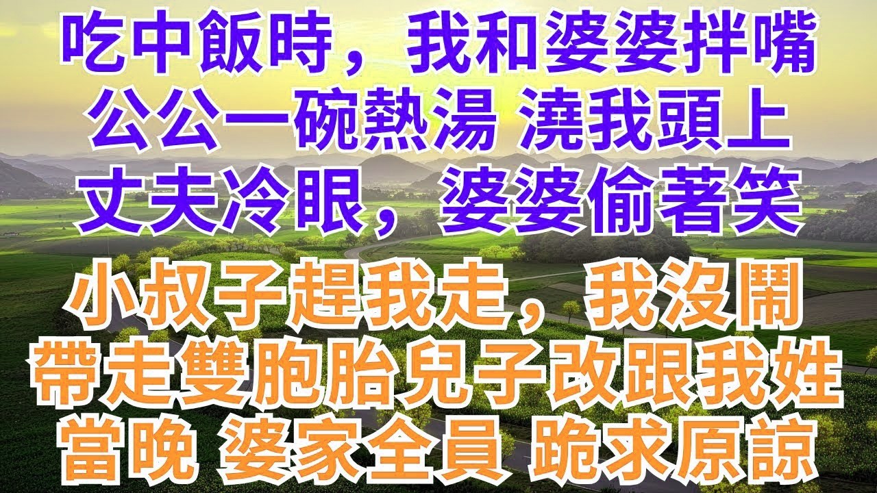 吃中飯時，我和婆婆拌嘴，公公一碗熱湯澆我頭上，丈夫冷眼，婆婆偷著笑，小叔子趕我走，我沒鬧，帶走雙胞胎兒子改跟我姓