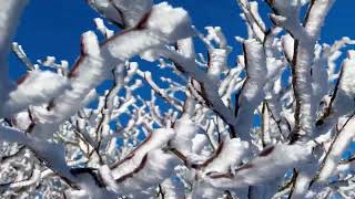 Eguberri on Denontzako mendian eguraldi zoragarria  eta izotza