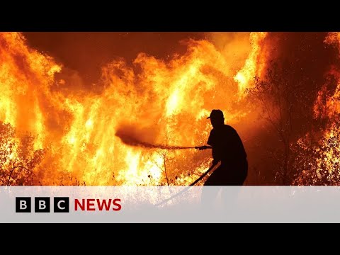 Hundreds of firefighters continue to battle wildfires across Europe  – BBC News