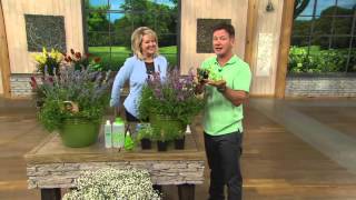 Robertas 6-Piece Purfect Catmint Collection Pink Cat&Felix On Qvc