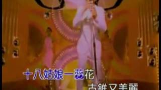陳雷-有影美.flv