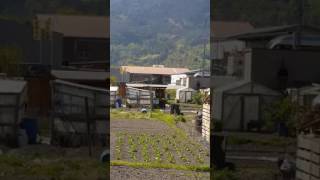 Stadler Gtw Durchfahrt Im Bahnhof Zizers.