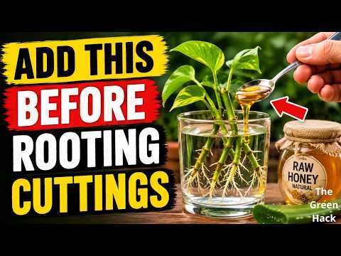 Gardeners Are Obsessed With This Simple Rooting Hack